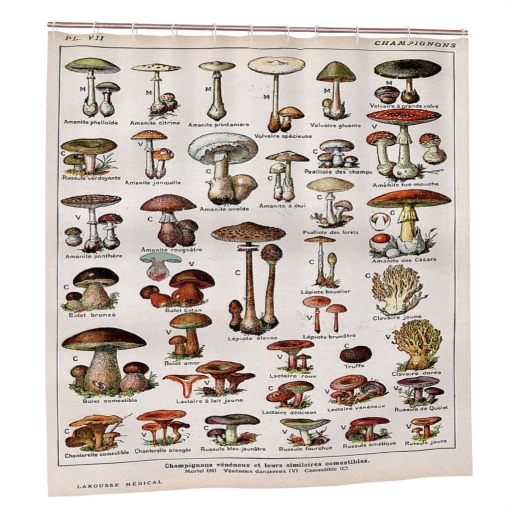 Vintage botanical mushroom shower curtain by Sandy Beach featuring colorful mushroom and plant illustrations for bathroom decor.