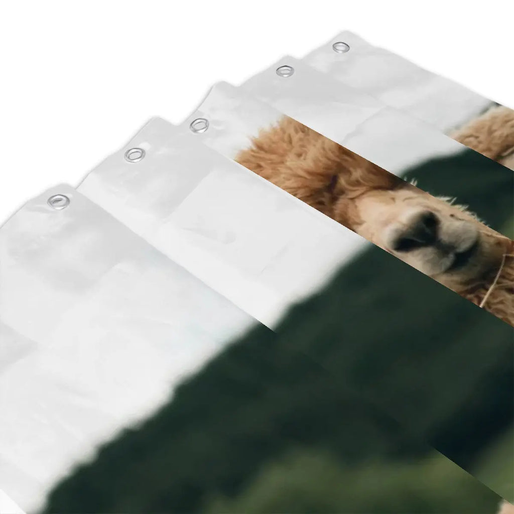 Alpacas Shower Curtain Sandy Beach
