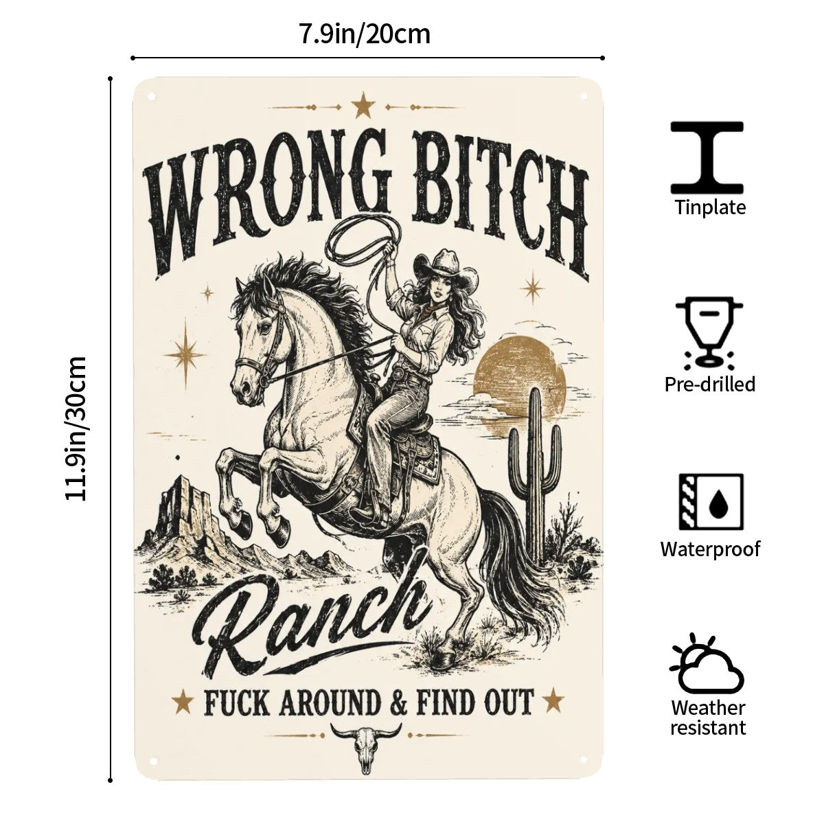 Western style tinplate ranch sign featuring a cowgirl riding a horse in a desert landscape.
