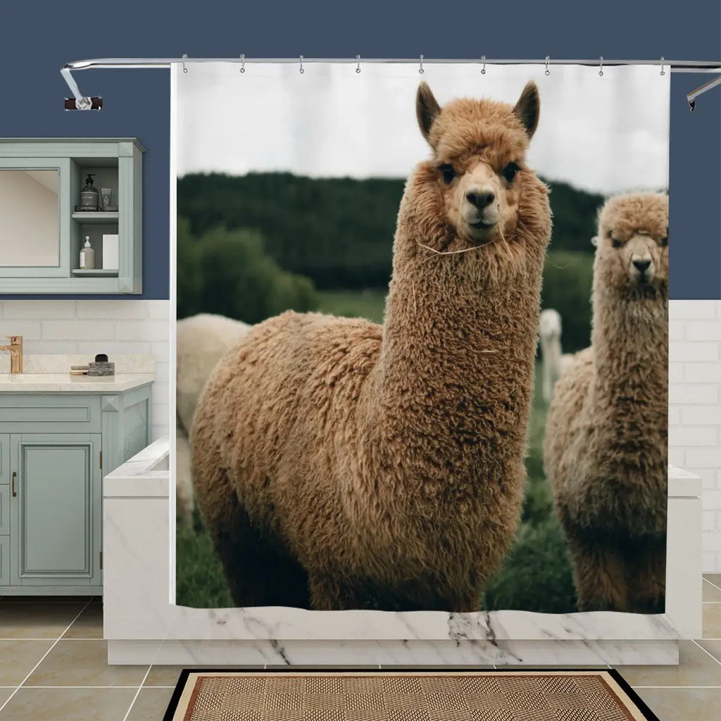 Alpacas Shower Curtain Sandy Beach