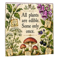 Shower Curtain 563B5EAA82CB4413BF81359D4892E709
