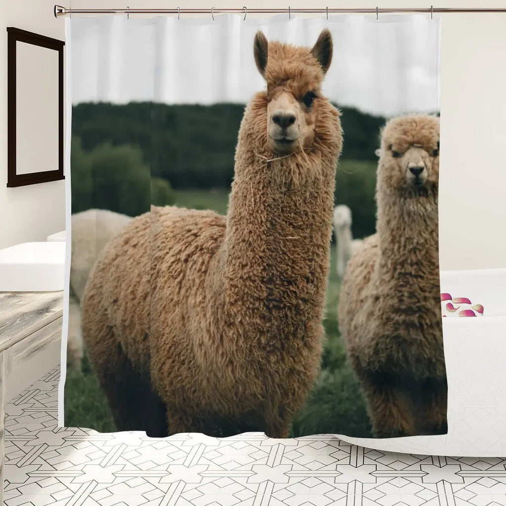 Alpacas Shower Curtain Sandy Beach