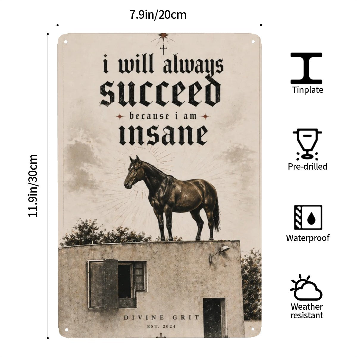 Vintage style tinplate sign with a horse and motivational text 'i will always succeed because i am insane'