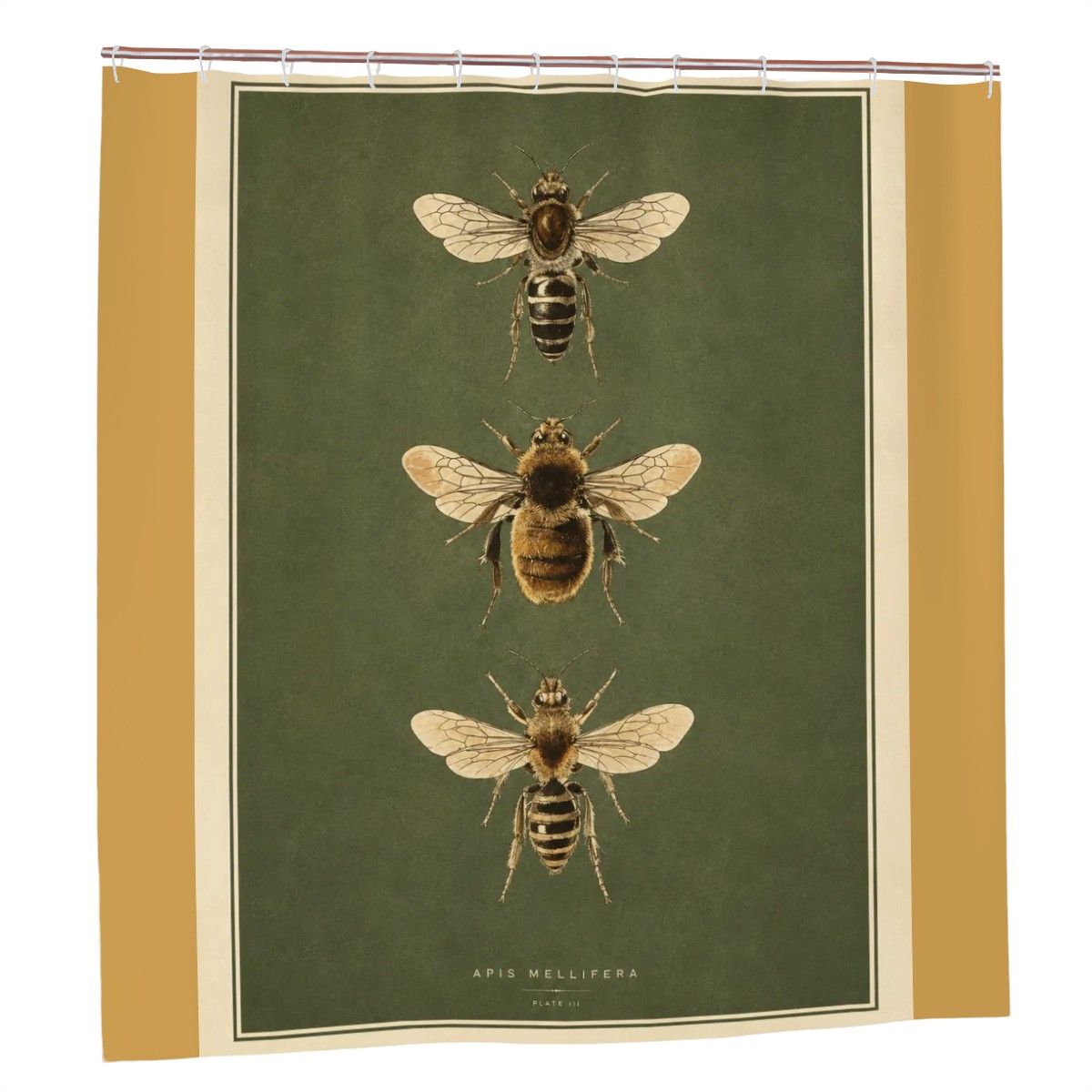 Vintage botanical shower curtain featuring three honey bee illustrations on a dark green background.