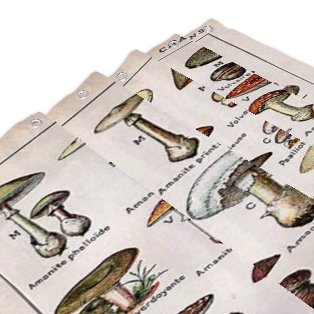 Vintage botanical mushroom shower curtain with detailed mushroom and plant illustrations for bathroom decor by Sandy Beach