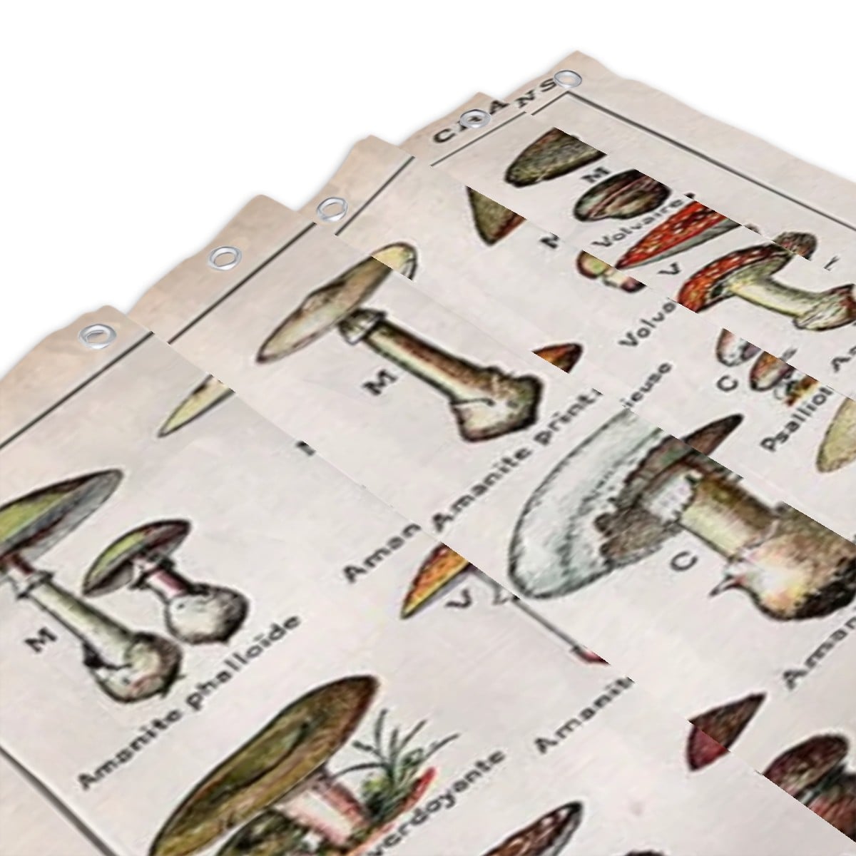 Vintage Botanical Mushroom Shower Curtain